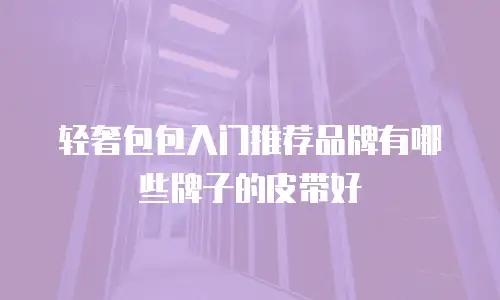 轻奢包包入门推荐品牌有哪些牌子的皮带好