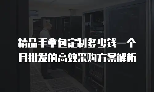精品手拿包定制多少钱一个月批发的高效采购方案解析