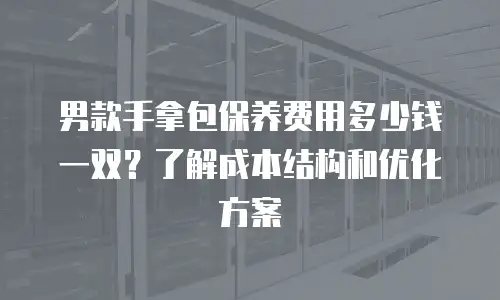 男款手拿包保养费用多少钱一双？了解成本结构和优化方案