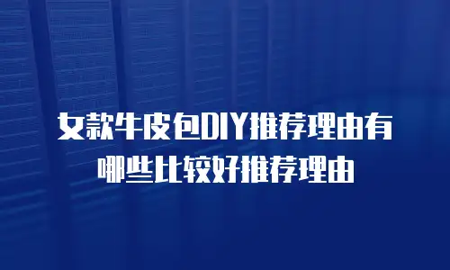 女款牛皮包DIY推荐理由有哪些比较好推荐理由