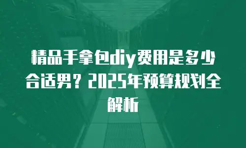 精品手拿包diy费用是多少合适男？2025年预算规划全解析