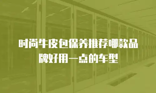 时尚牛皮包保养推荐哪款品牌好用一点的车型