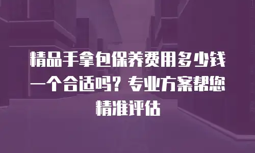 精品手拿包保养费用多少钱一个合适吗？专业方案帮您精准评估
