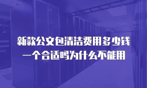 新款公文包清洁费用多少钱一个合适吗为什么不能用