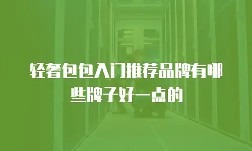 轻奢包包入门推荐品牌有哪些牌子好一点的