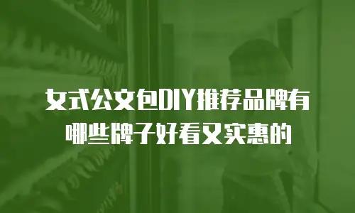 女式公文包DIY推荐品牌有哪些牌子好看又实惠的