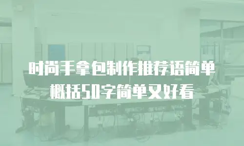时尚手拿包制作推荐语简单概括50字简单又好看
