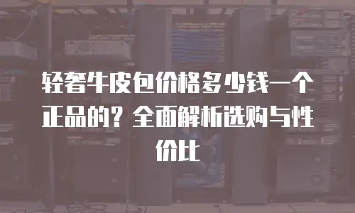 轻奢牛皮包价格多少钱一个正品的？全面解析选购与性价比