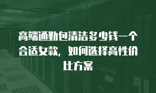 高端通勤包清洁多少钱一个合适女款，如何选择高性价比方案