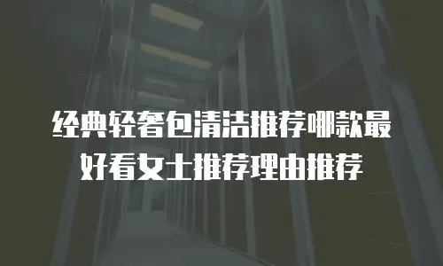 经典轻奢包清洁推荐哪款最好看女士推荐理由推荐