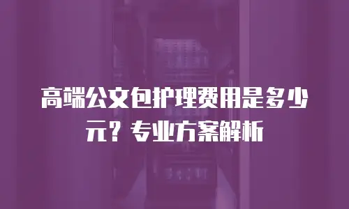 高端公文包护理费用是多少元？专业方案解析