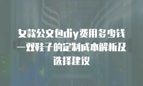 女款公文包diy费用多少钱一双鞋子的定制成本解析及选择建议