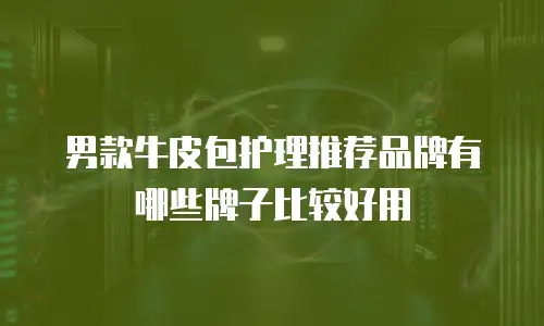 男款牛皮包护理推荐品牌有哪些牌子比较好用