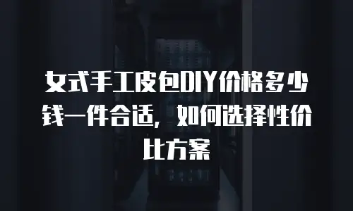 女式手工皮包DIY价格多少钱一件合适，如何选择性价比方案