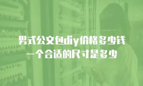 男式公文包diy价格多少钱一个合适的尺寸是多少