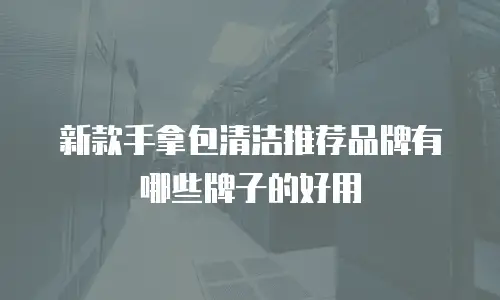 新款手拿包清洁推荐品牌有哪些牌子的好用