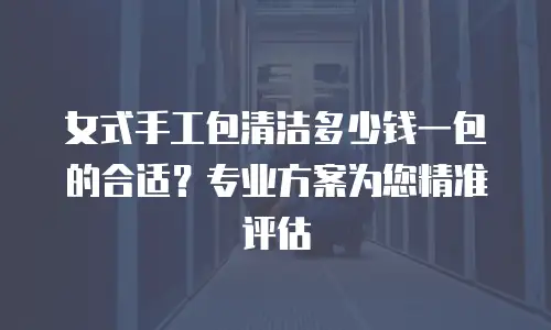 女式手工包清洁多少钱一包的合适？专业方案为您精准评估