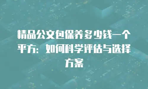精品公文包保养多少钱一个平方：如何科学评估与选择方案