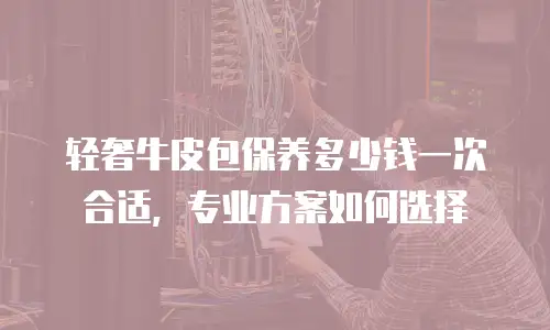 轻奢牛皮包保养多少钱一次合适，专业方案如何选择