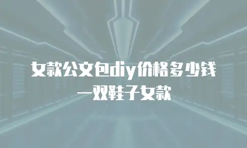 女款公文包diy价格多少钱一双鞋子女款
