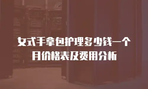 女式手拿包护理多少钱一个月价格表及费用分析
