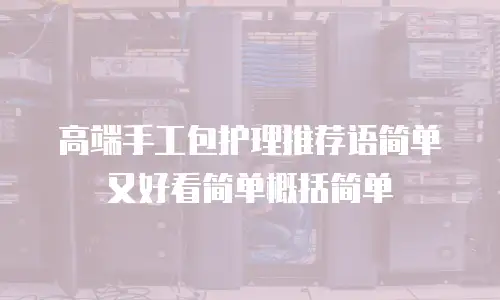 高端手工包护理推荐语简单又好看简单概括简单