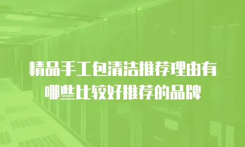 精品手工包清洁推荐理由有哪些比较好推荐的品牌