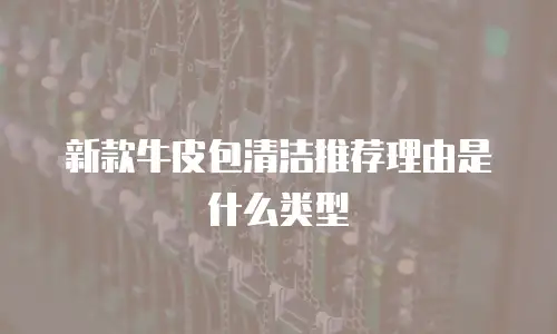 新款牛皮包清洁推荐理由是什么类型