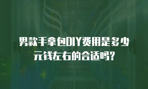 男款手拿包DIY费用是多少元钱左右的合适吗？