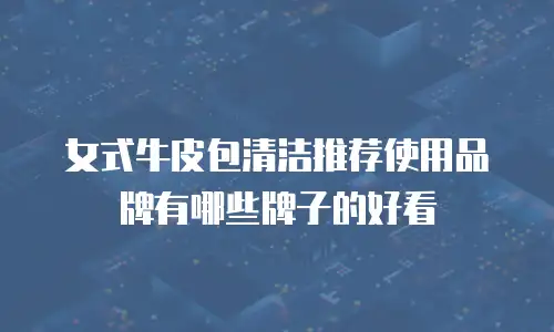女式牛皮包清洁推荐使用品牌有哪些牌子的好看