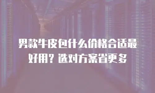 男款牛皮包什么价格合适最好用？选对方案省更多