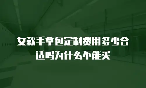 女款手拿包定制费用多少合适吗为什么不能买
