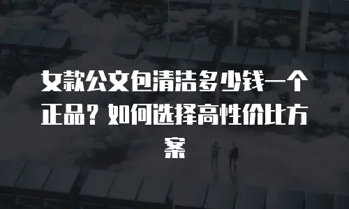 女款公文包清洁多少钱一个正品？如何选择高性价比方案
