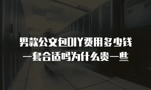 男款公文包DIY费用多少钱一套合适吗为什么贵一些