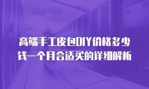 高端手工皮包DIY价格多少钱一个月合适买的详细解析