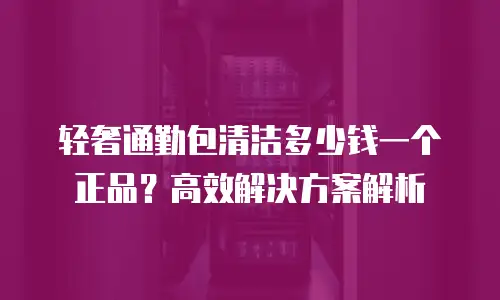 轻奢通勤包清洁多少钱一个正品？高效解决方案解析