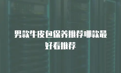 男款牛皮包保养推荐哪款最好看推荐