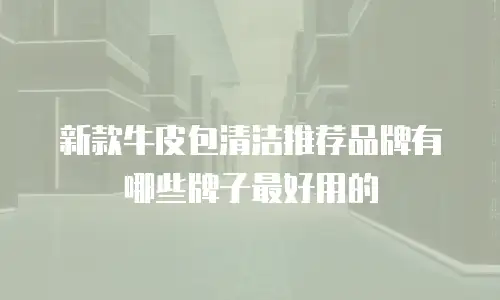 新款牛皮包清洁推荐品牌有哪些牌子最好用的