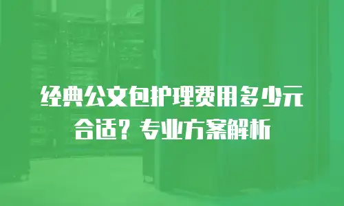 经典公文包护理费用多少元合适？专业方案解析