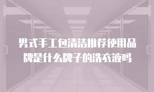 男式手工包清洁推荐使用品牌是什么牌子的洗衣液吗