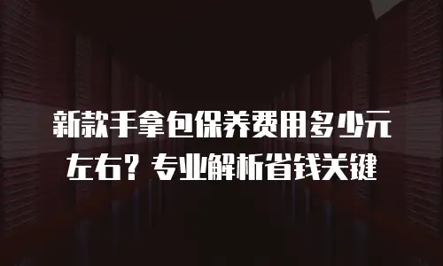 新款手拿包保养费用多少元左右？专业解析省钱关键