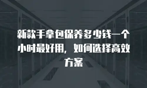 新款手拿包保养多少钱一个小时最好用，如何选择高效方案
