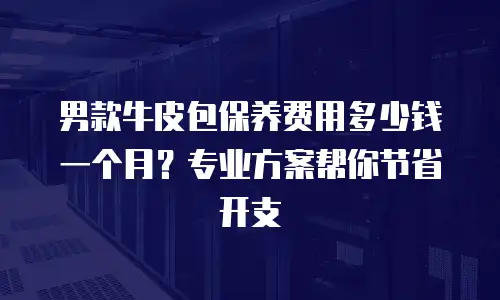 男款牛皮包保养费用多少钱一个月？专业方案帮你节省开支