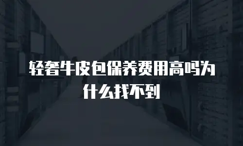 轻奢牛皮包保养费用高吗为什么找不到