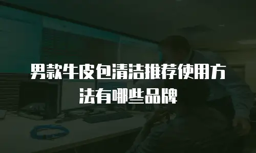 男款牛皮包清洁推荐使用方法有哪些品牌