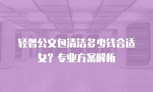 轻奢公文包清洁多少钱合适女？专业方案解析