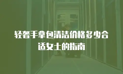 轻奢手拿包清洁价格多少合适女士的指南