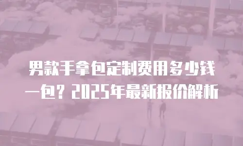 男款手拿包定制费用多少钱一包？2025年最新报价解析