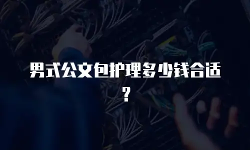 男式公文包护理多少钱合适？