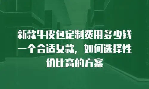 新款牛皮包定制费用多少钱一个合适女款，如何选择性价比高的方案